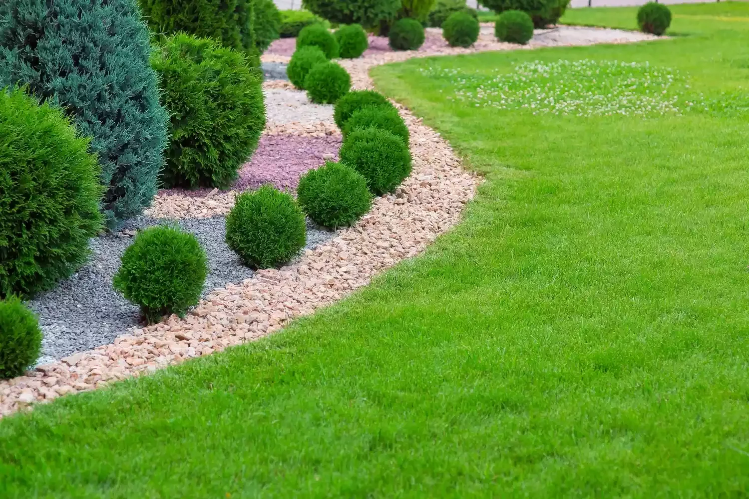 30 Stunning Front Yard Ideas Using Rocks and Mulch Curved Landscape Gravel With Evergreens