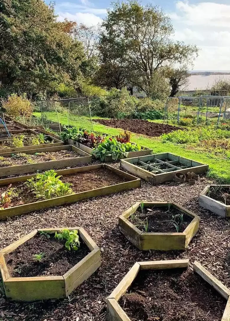 Custom-Designed DIY Raised Garden Beds