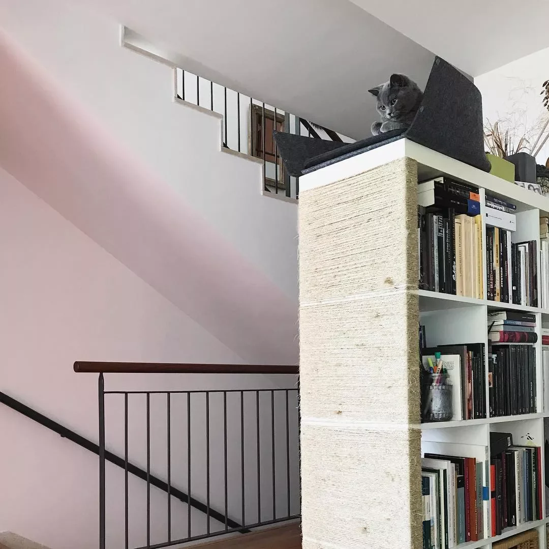 25 Stylish Cat Room Ideas That'll Transform Your Home Into a Feline Paradise 17 Customize Your Furniture