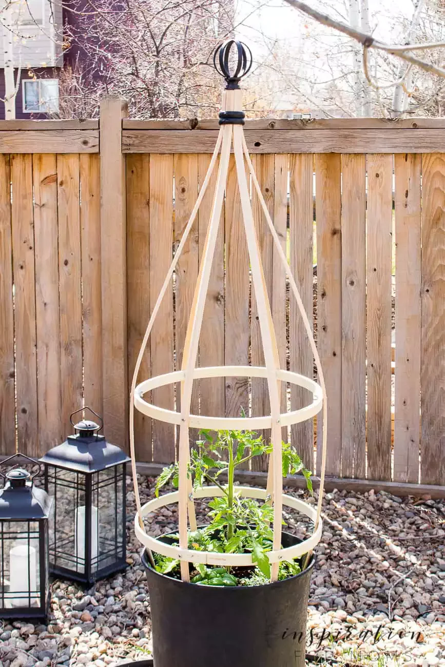 DIY Container Cucumber Trellis