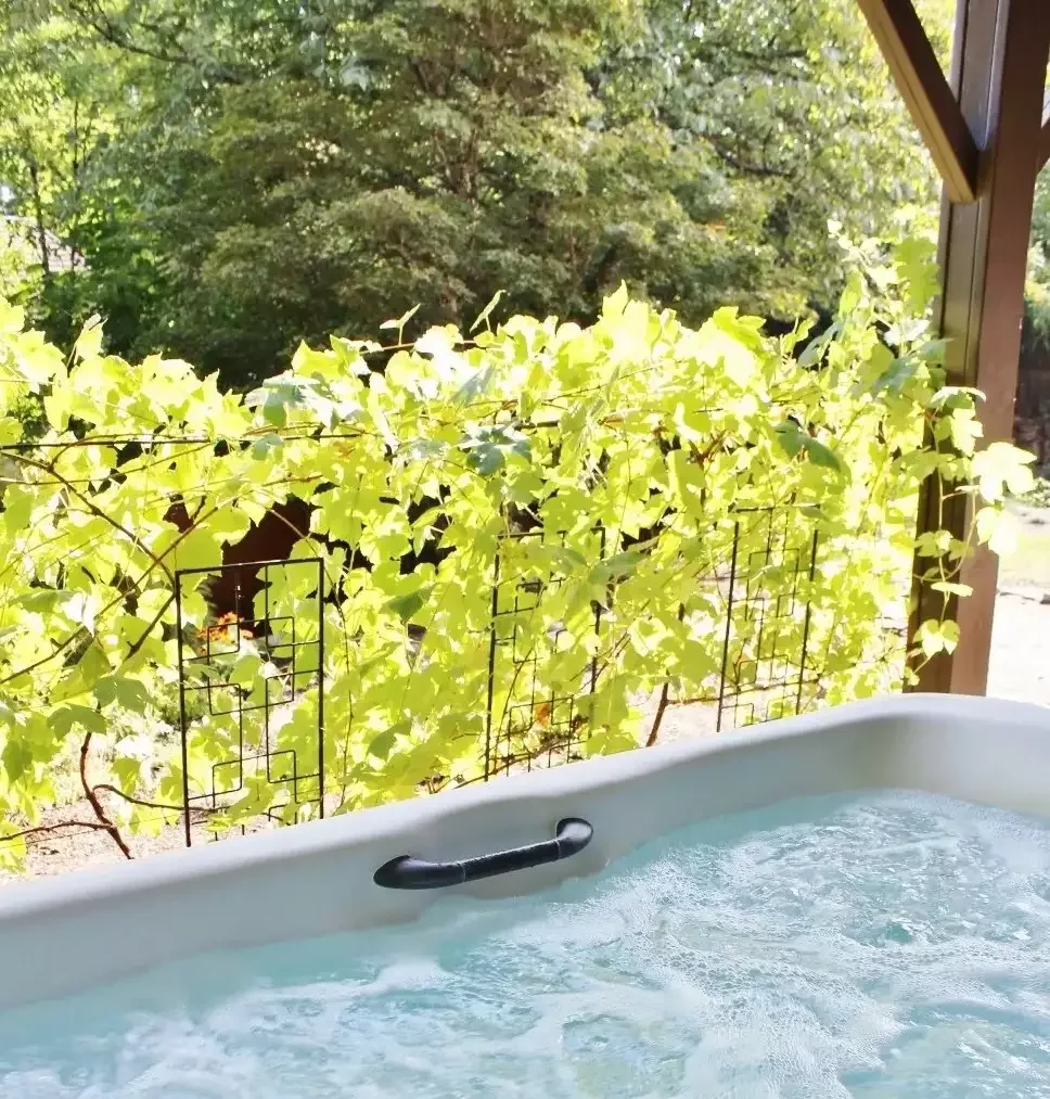 18 Creative Ways to Add Privacy to Your Backyard Hot Tub Retreat 18 DIY Green Screen