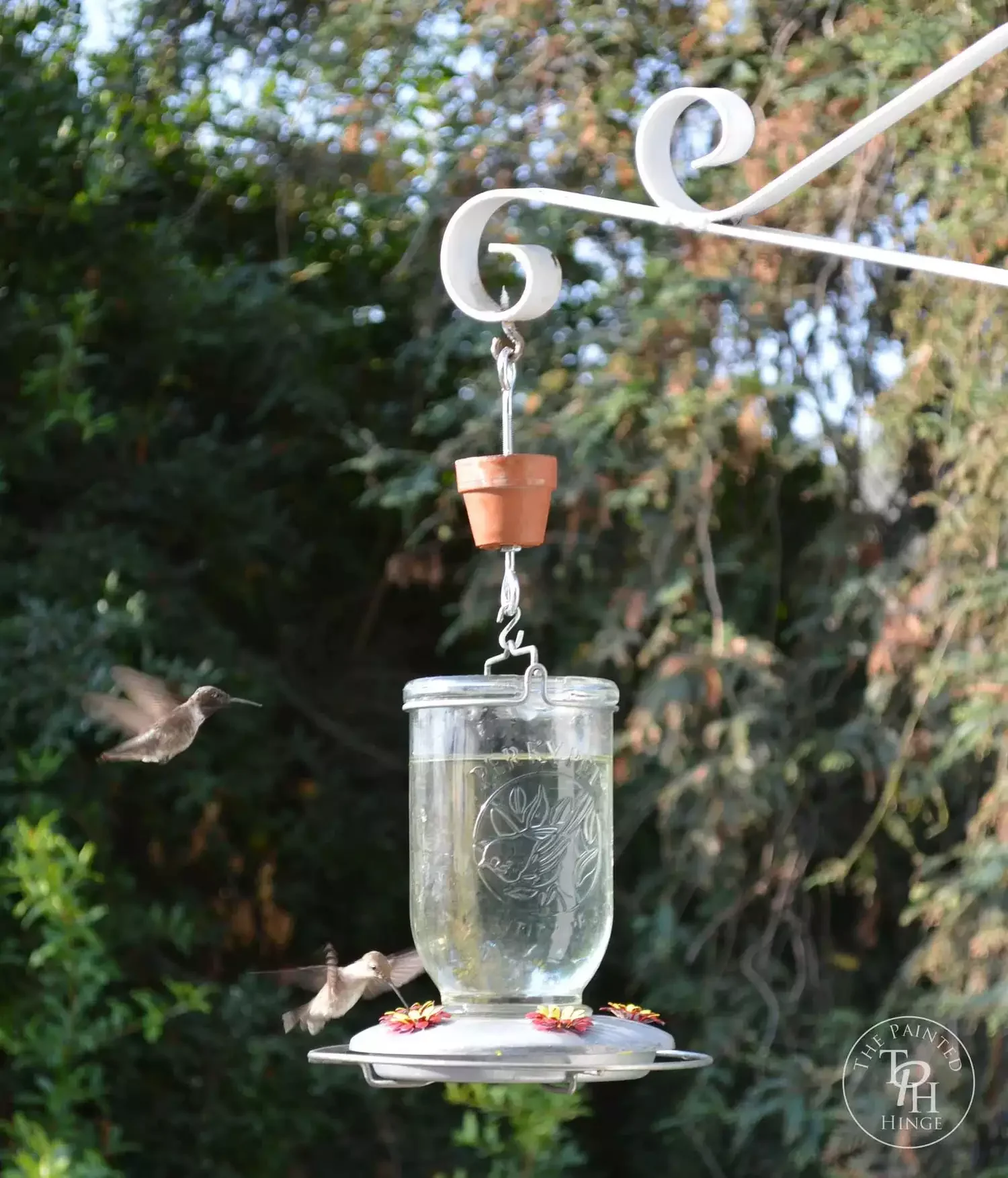 DIY Hummingbird Feeder Ant Moat
