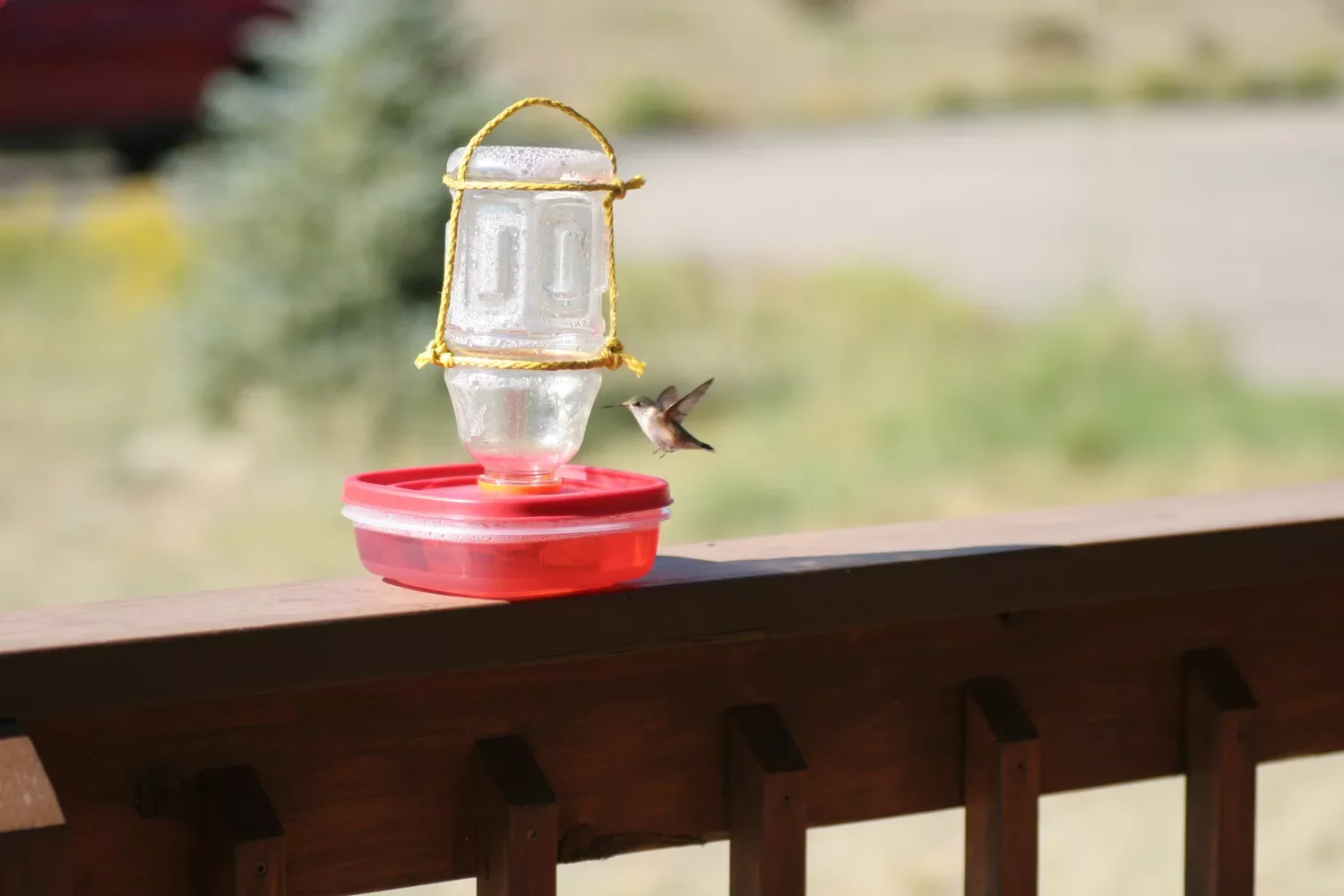 DIY Hummingbird Feeder