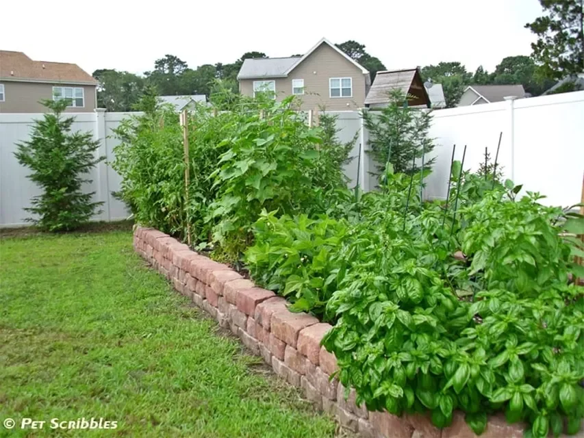 35 Creative DIY Garden Projects to Transform Your Outdoor Space DIY Raised Garden Bed for Vegetables