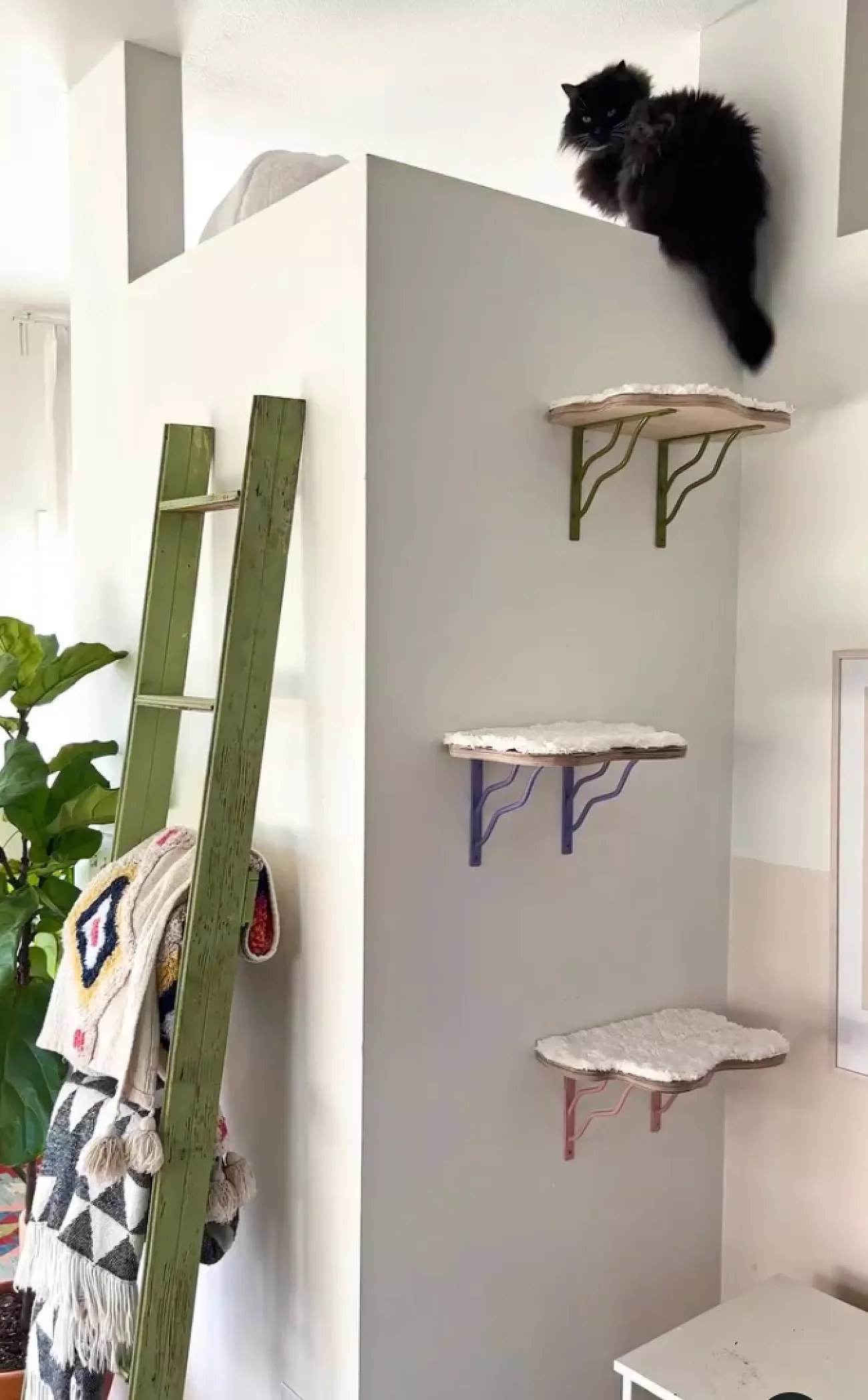25 Stylish Cat Room Ideas That'll Transform Your Home Into a Feline Paradise 11 DIY Some Shelves