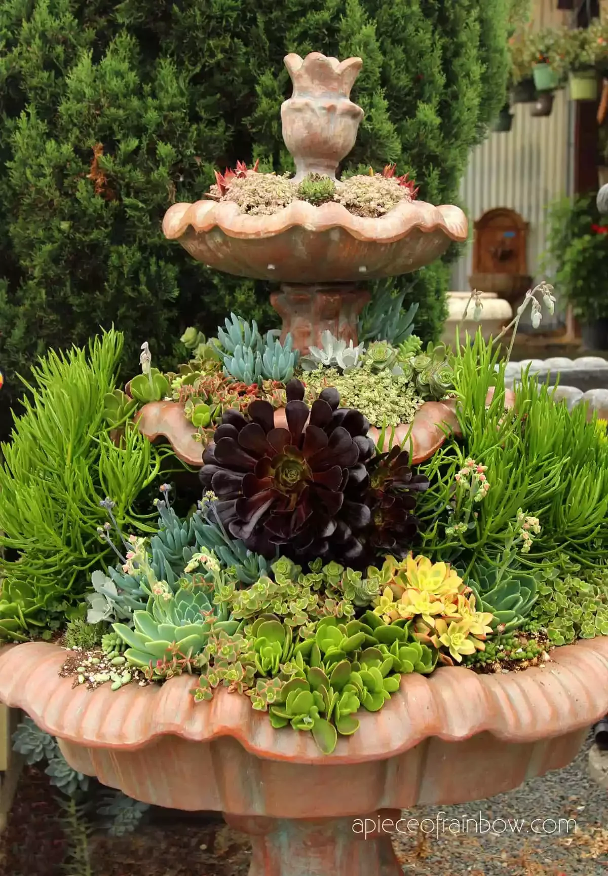 35 Creative DIY Garden Projects to Transform Your Outdoor Space DIY Succulent Garden in a Fountain