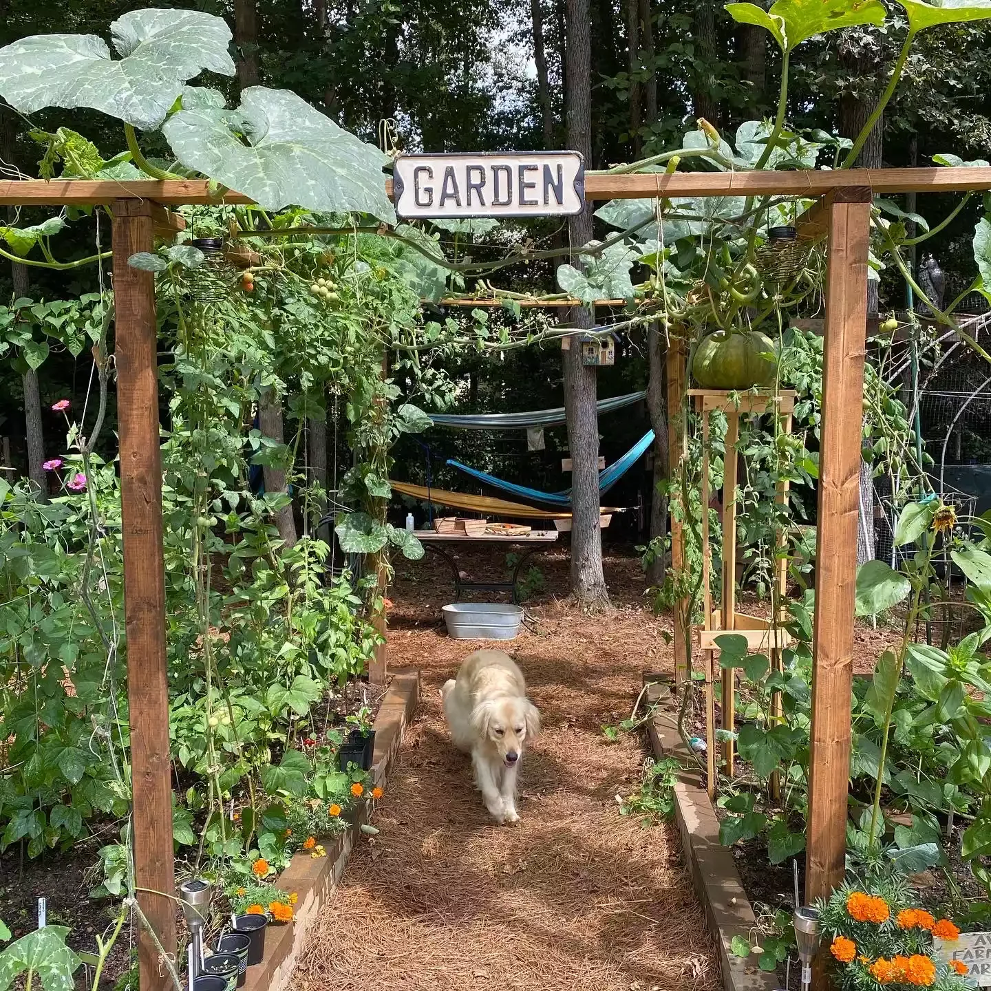 DIY Wooden Trellis