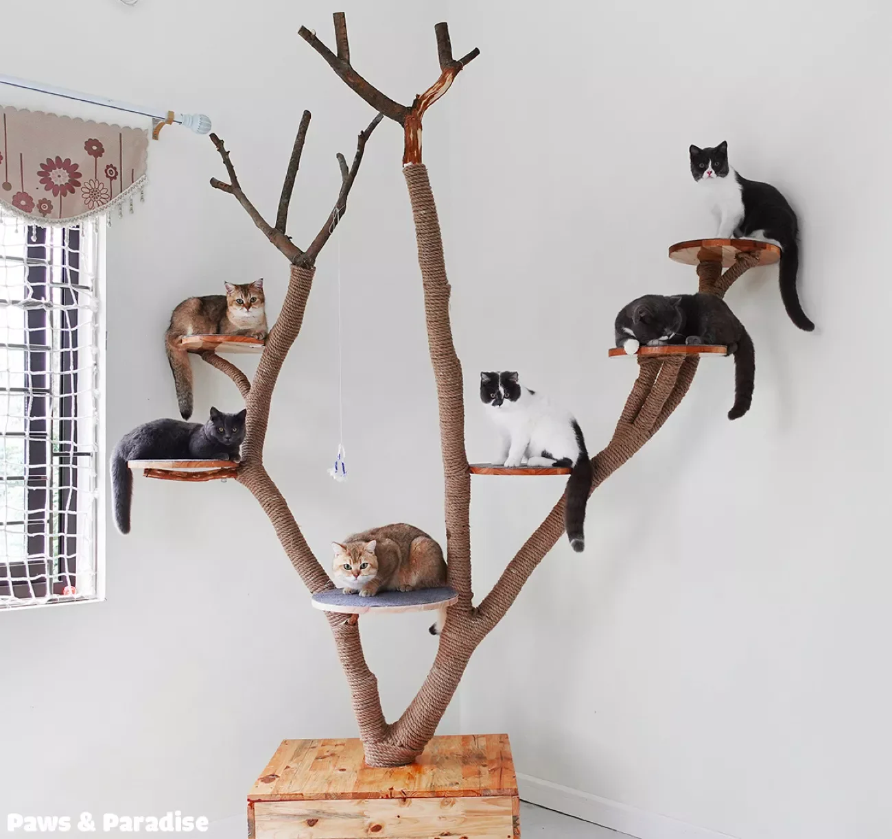 25 Stylish Cat Room Ideas That'll Transform Your Home Into a Feline Paradise 7 DIY a Cat Tree