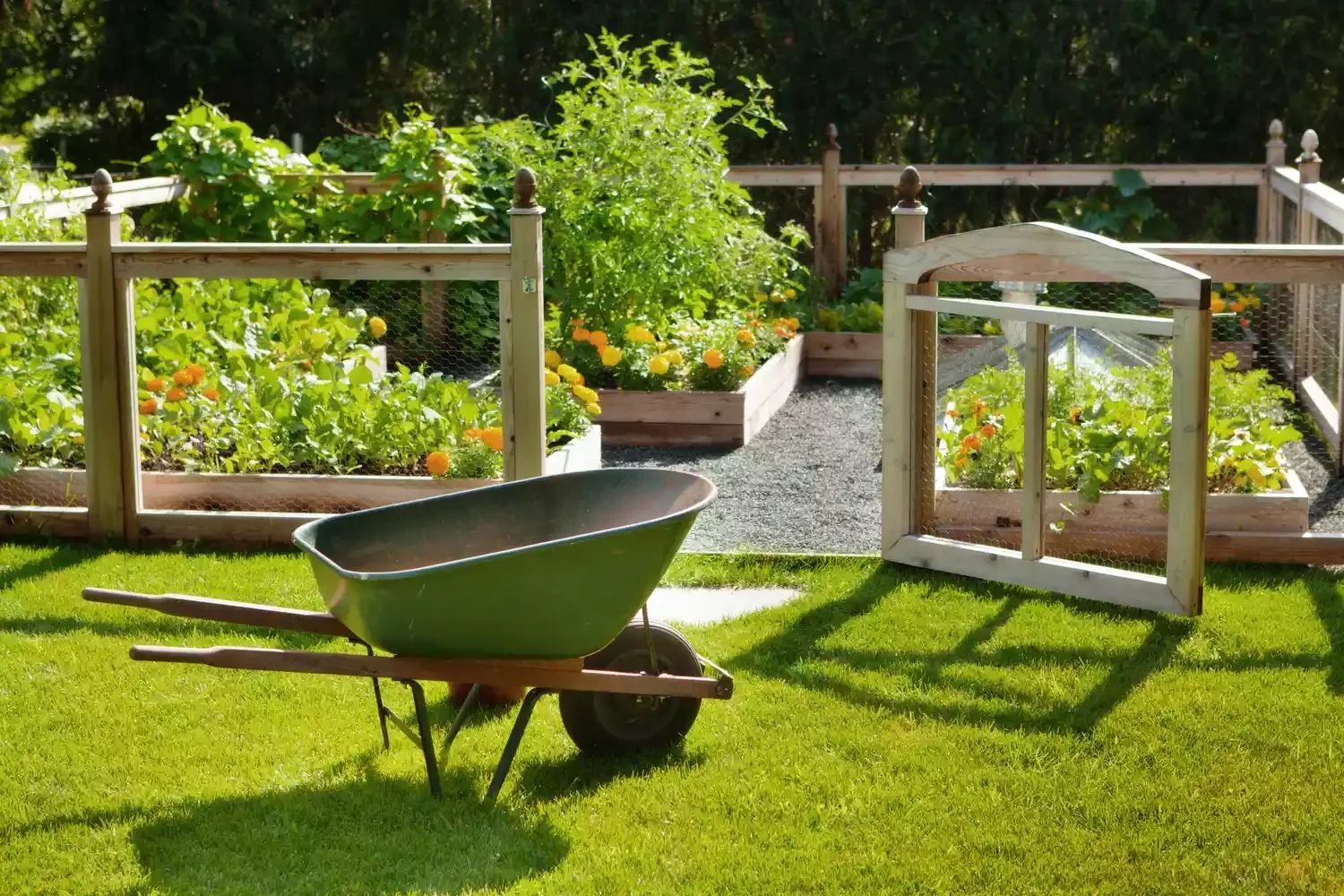 26 Vegetables Garden Ideas That Keep Your Home Stocked with Year-Round DIY a Chicken Wire Fence