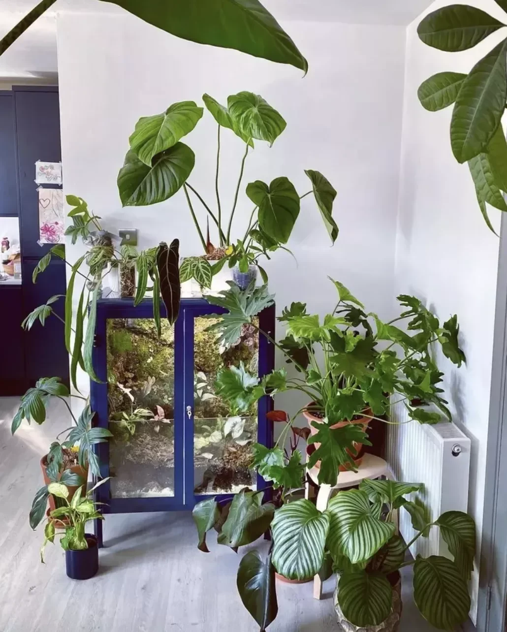 15 Brilliant IKEA Living Room Hacks That Look Like Designer Pieces 12 DIY a Crafty Greenhouse