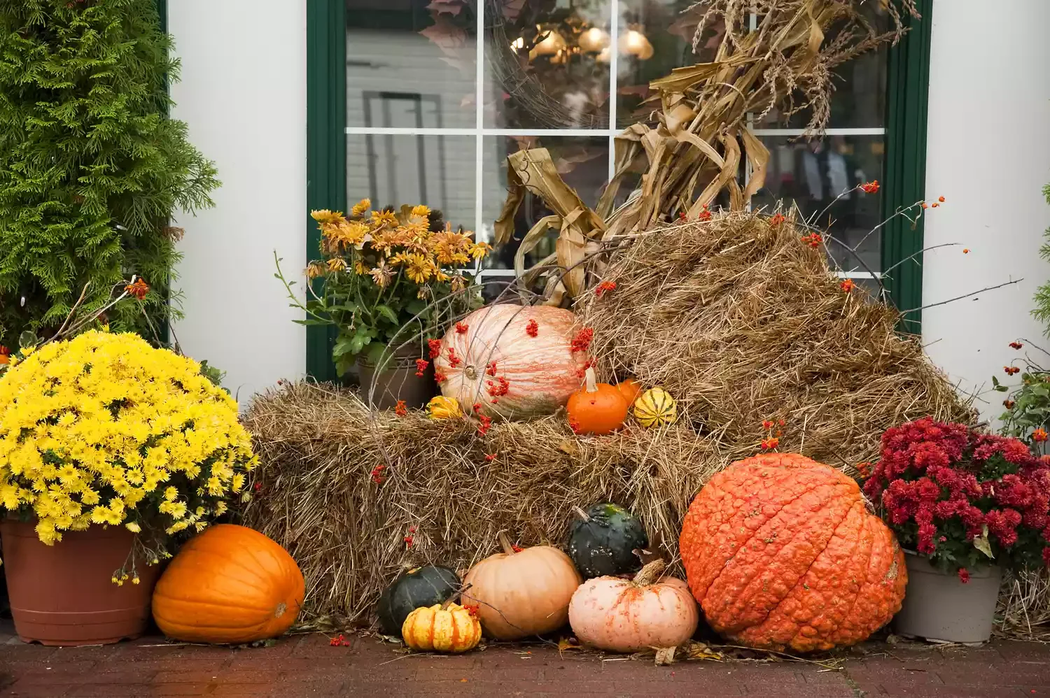 30 Stunning Fall Decor Ideas to Transform Your Outdoor Space Into an Autumn Paradise 24 Decorate With Corn Stalks