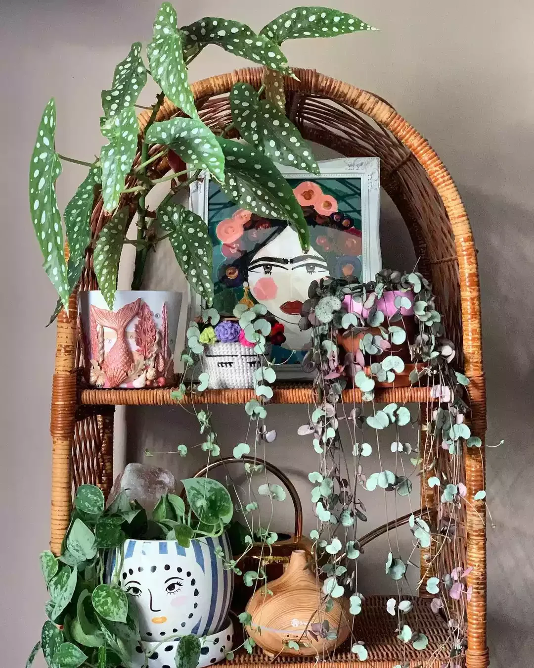 15 Creative Plant Display Ideas That'll Transform Your Home Into a Green Paradise 3 Decorate With a Theme