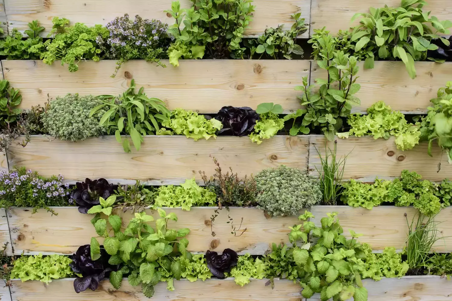 Decorate With a Vertical Garden