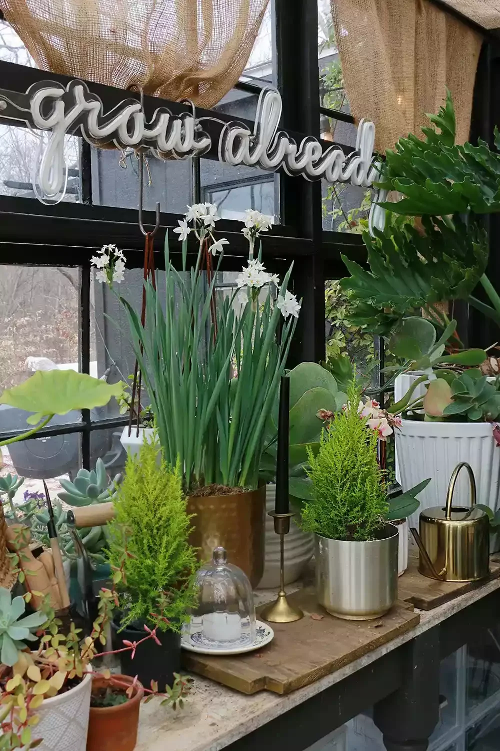 60 Garden Decor Ideas That Transform Your Outdoor Space Decorate Your Greenhouse Walls