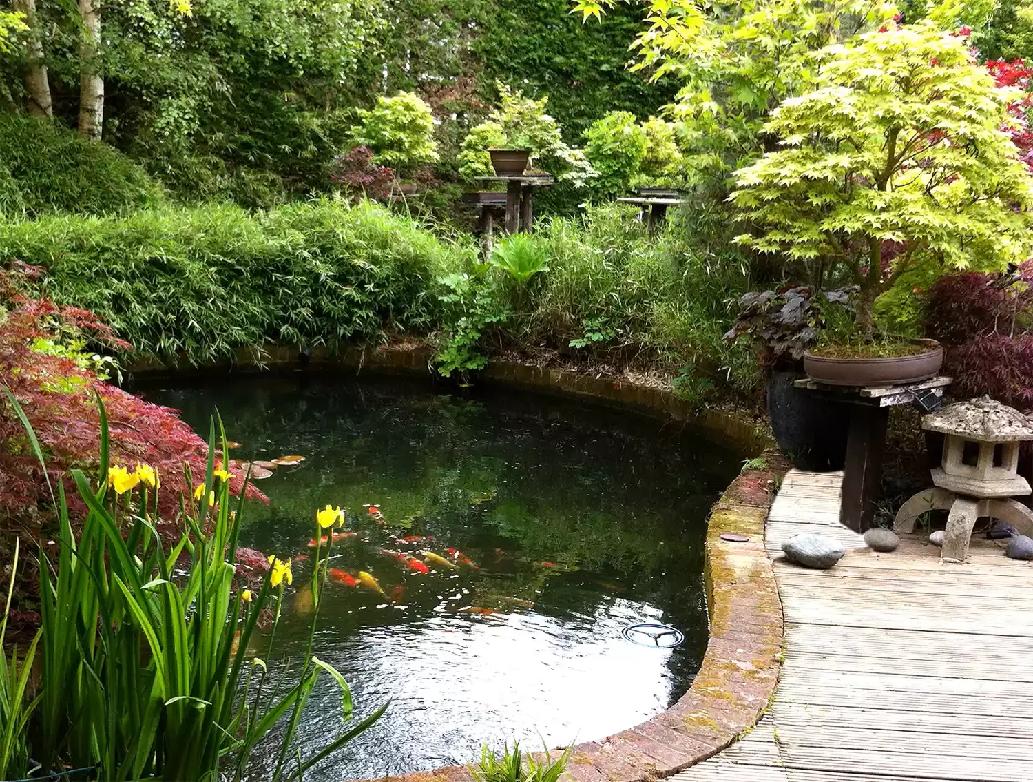 24 Beautiful Koi Pond Designs to Transform Your Outdoor Space Decorative Koi Pond