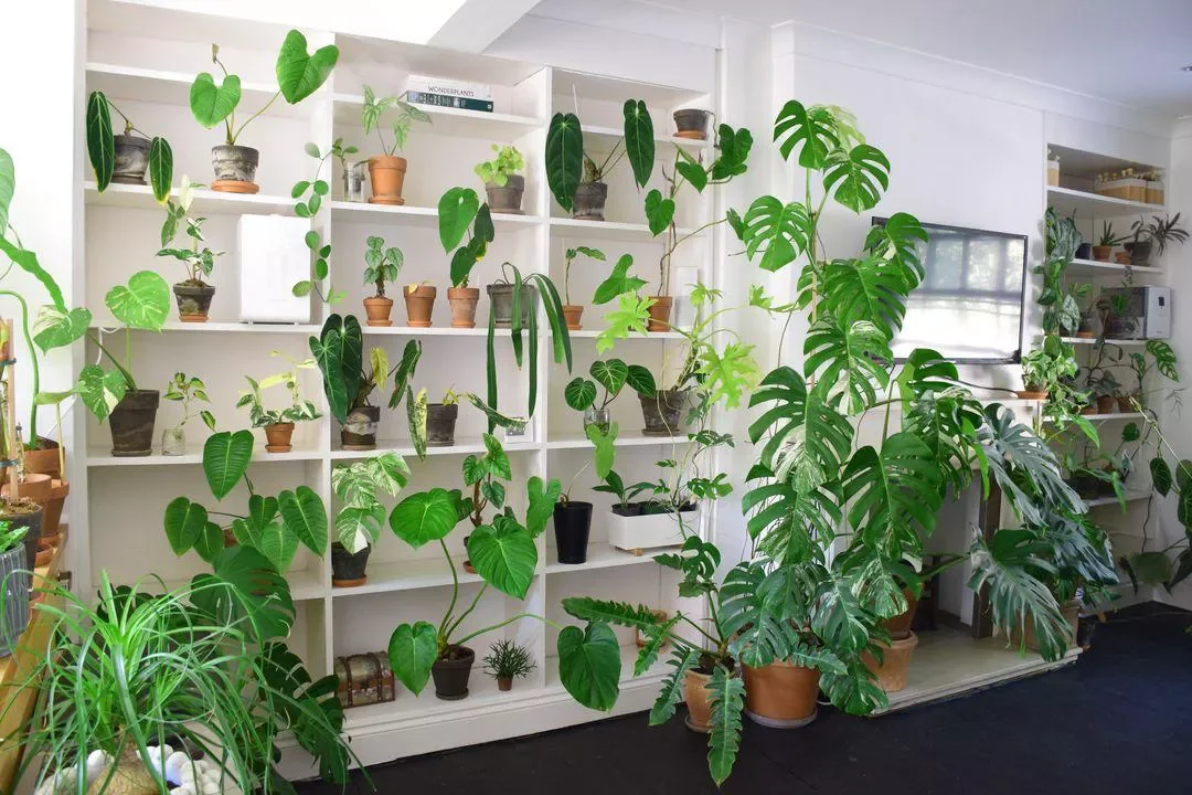 16 Beautiful Ways to Create Your Dream Indoor Garden Space Decorative Plant Shelfs