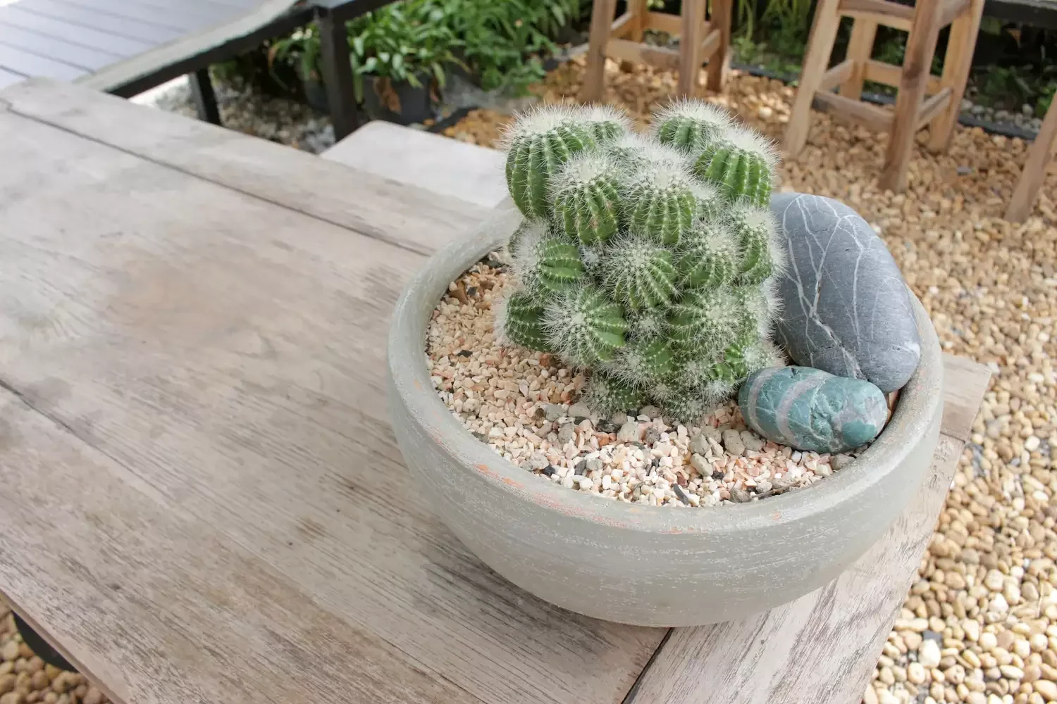 24 Creative River Rock Ideas to Transform Your Outdoor Space Decorative Planter Accents