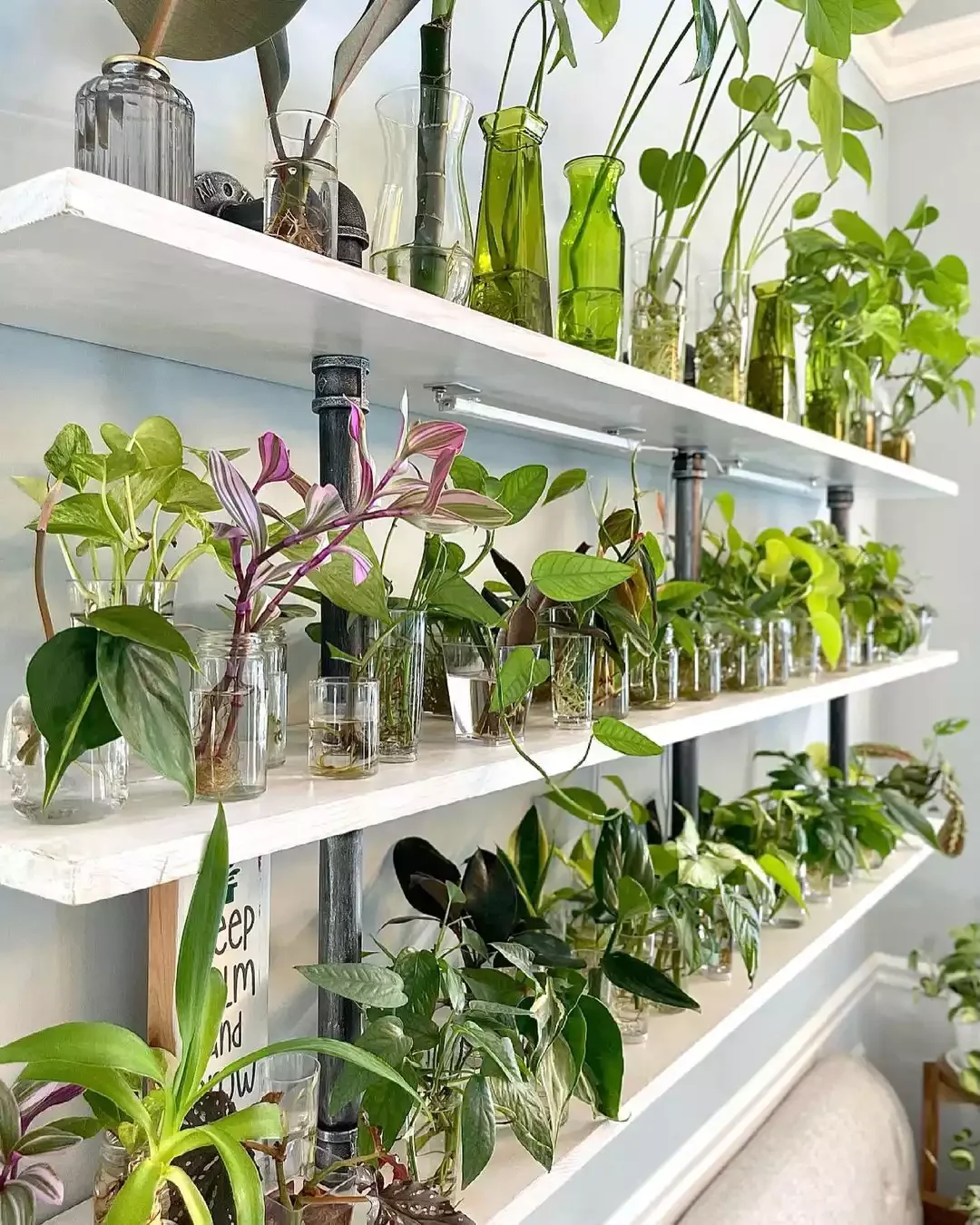 16 Beautiful Ways to Create Your Dream Indoor Garden Space Decorative Water Propagation Wall