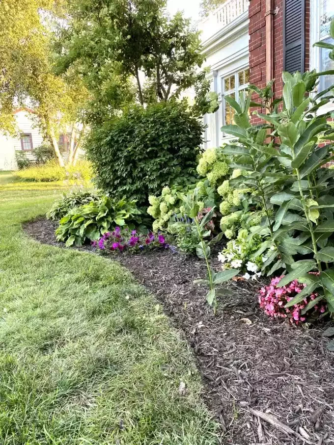 35 Creative DIY Garden Projects to Transform Your Outdoor Space Defined Garden Bed