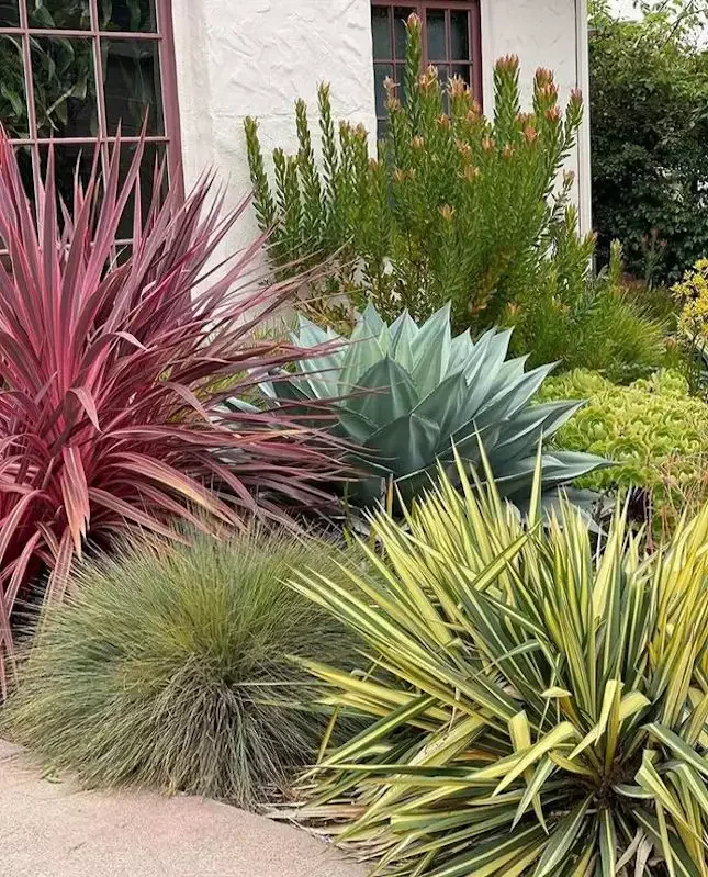82 Stunning Front Yard Landscaping Ideas to Transform Your Home's Curb Appeal This Spring Desert-Style Spiky Succulents