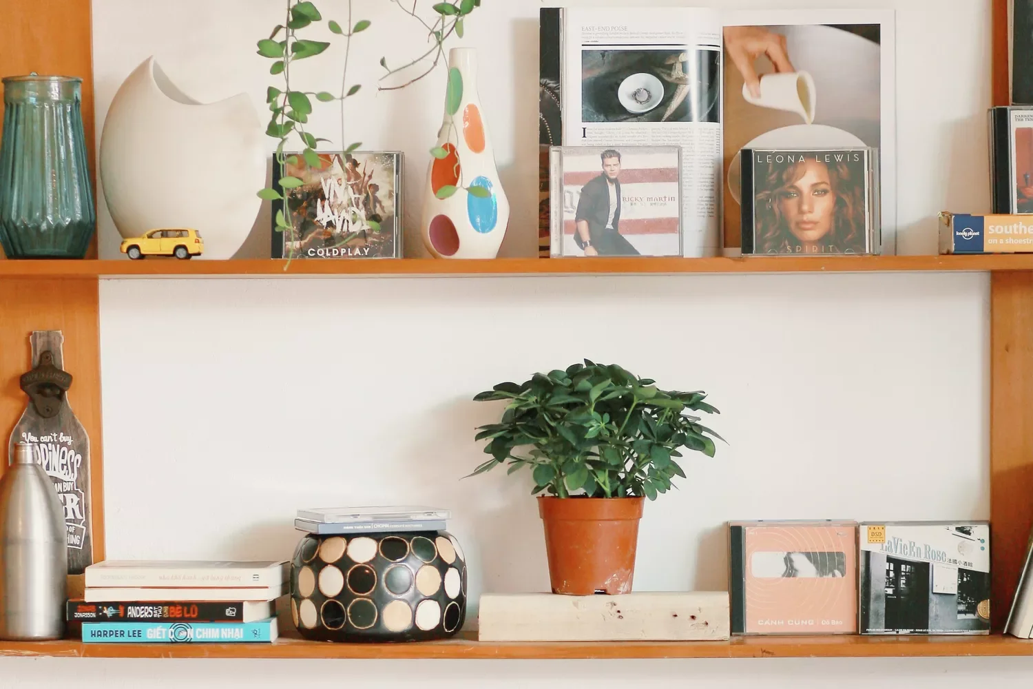 10 Stylish CD Storage Solutions That Transform Your Music Collection Display CDs Like Art