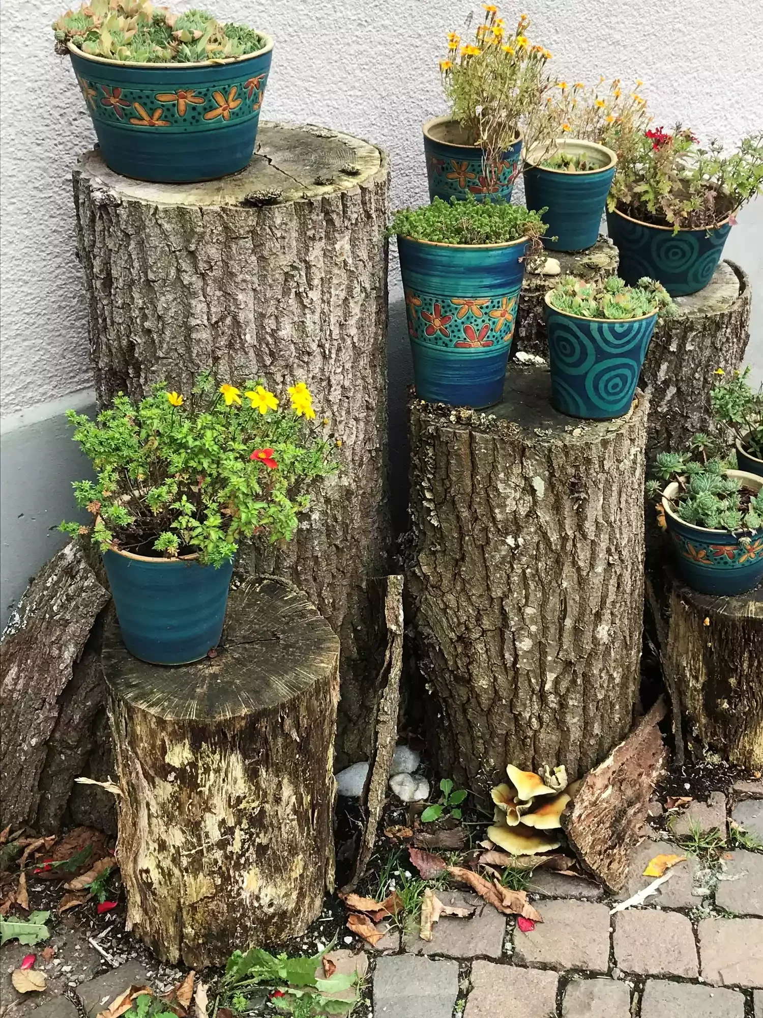 Display Colorful Pots
