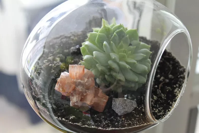 Display Hanging Terrariums