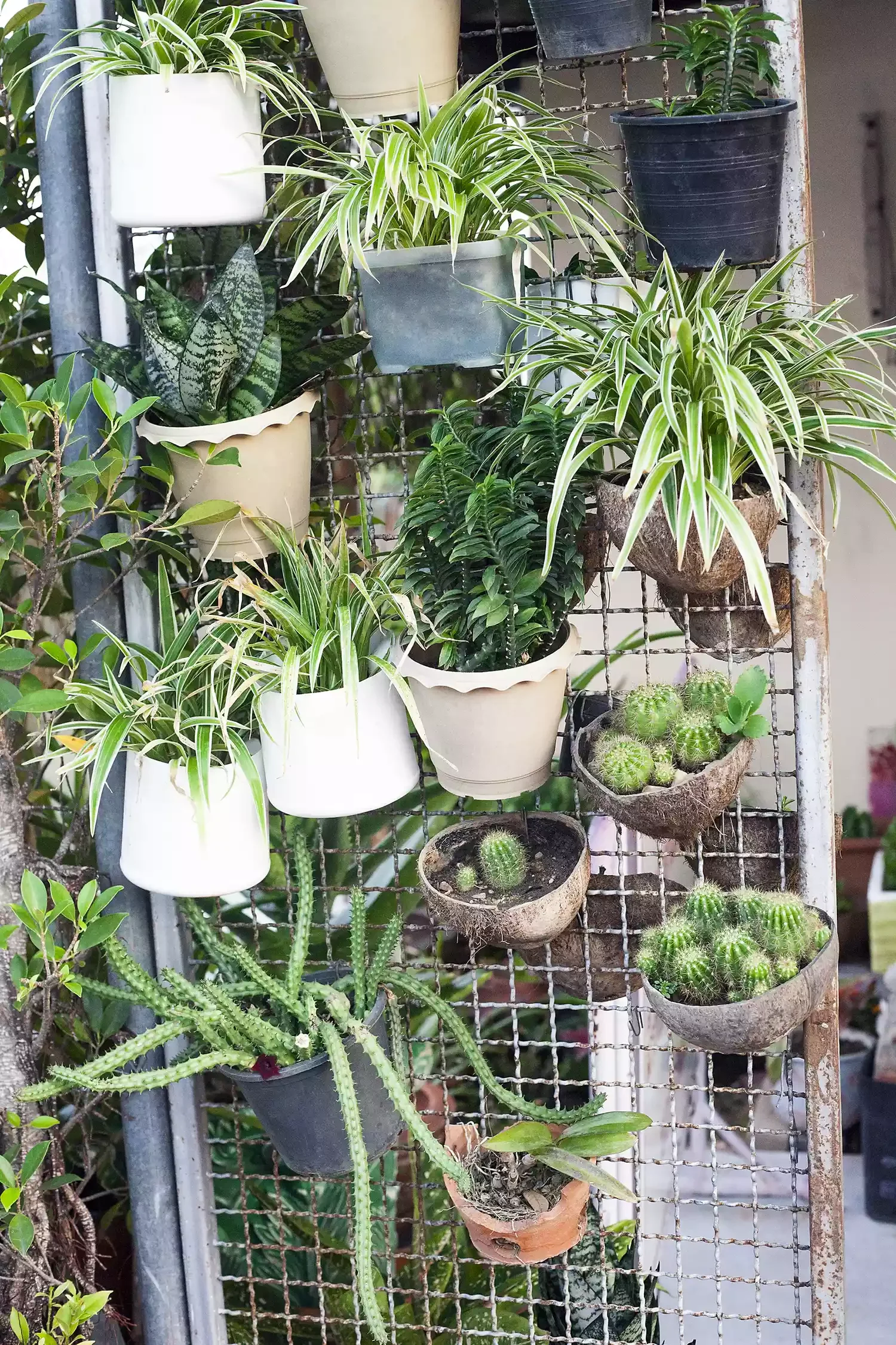 60 Garden Decor Ideas That Transform Your Outdoor Space Display Your Container Garden