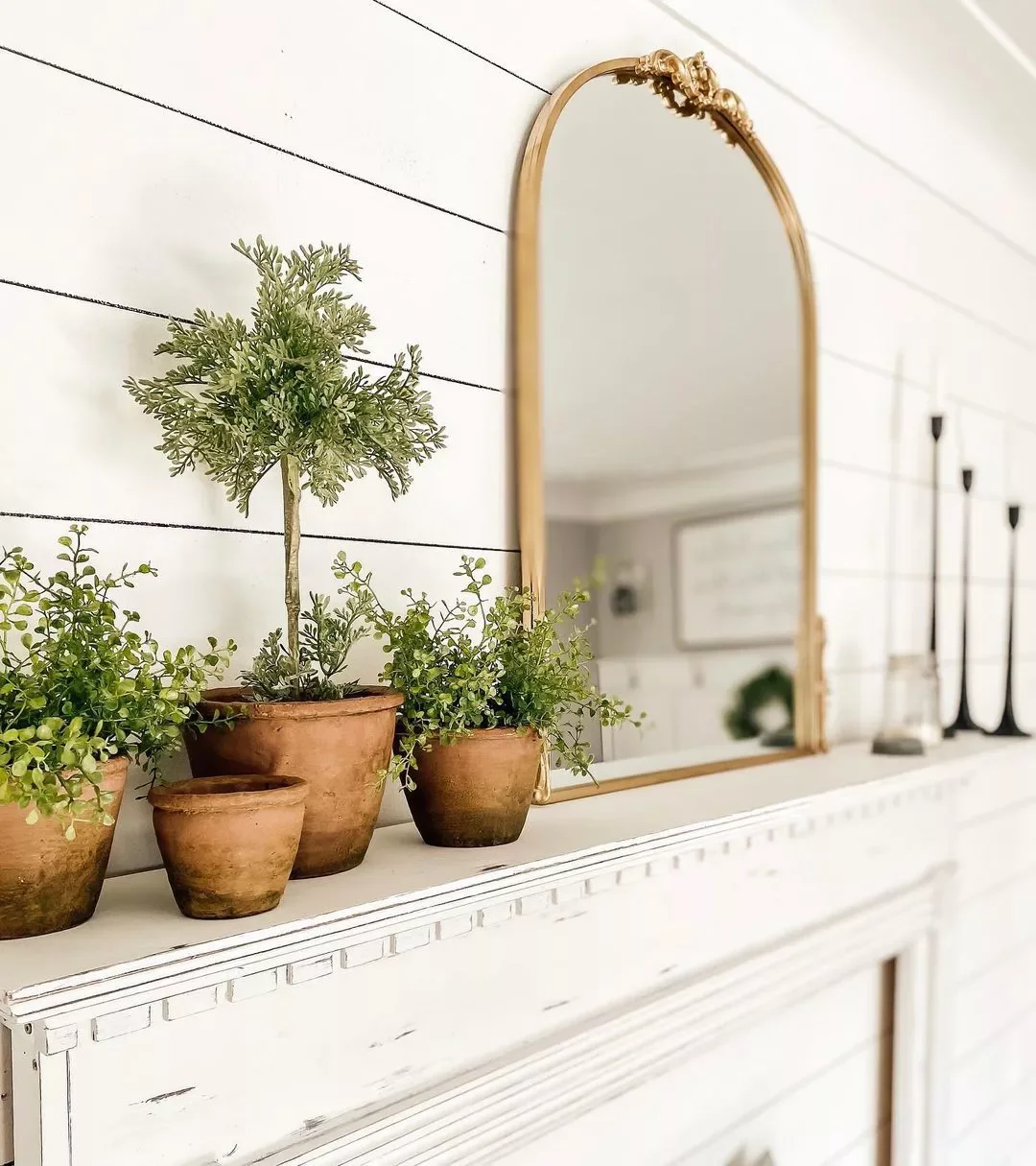 51 Creative Fireplace Mantel Decorating Ideas That Will Transform Your Living Space 41 Display a Mix of Plants