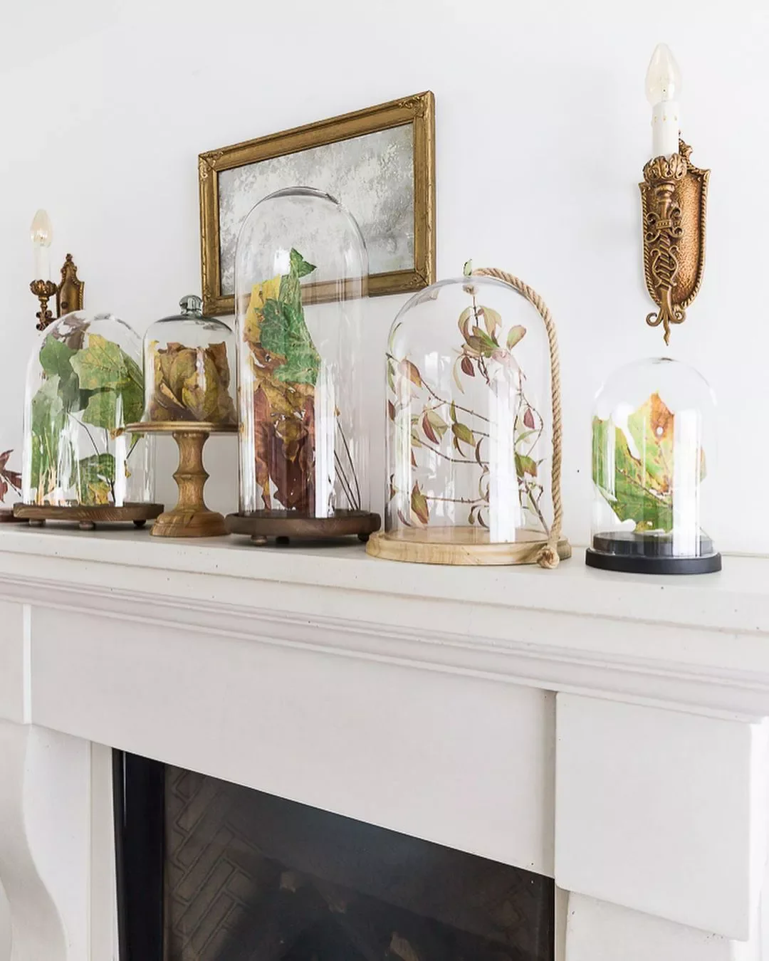 23 Stunning Natural Fall Decorations to Transform Your Home This Autumn 17 Display in Cloches