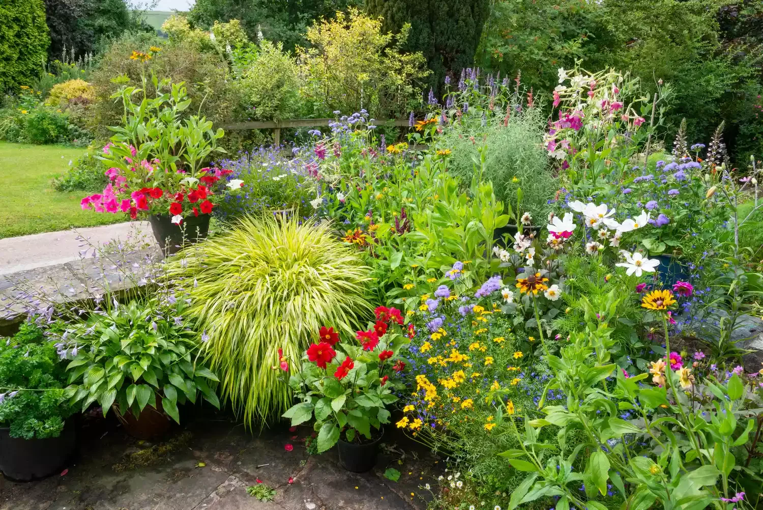 23 Budget-Friendly Front Yard Makeover Ideas That Will Wow Your Neighbors Ditch the Lawn