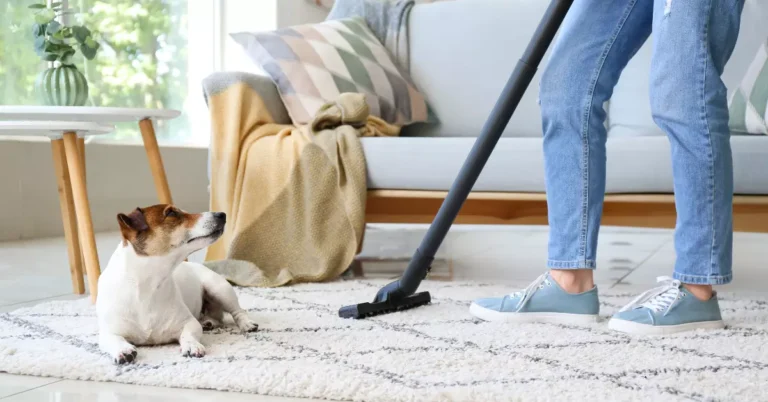 Checklist: Do Tenants Have to Clean Carpets When Moving Out?