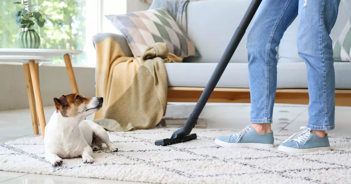 Do Tenants Have to Clean Carpets When Moving Out