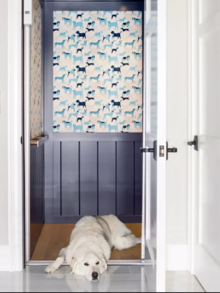 28 Incredible Dog Room Ideas That Will Make Both You and Your Furry Friend Happy 10 Dog Elevator