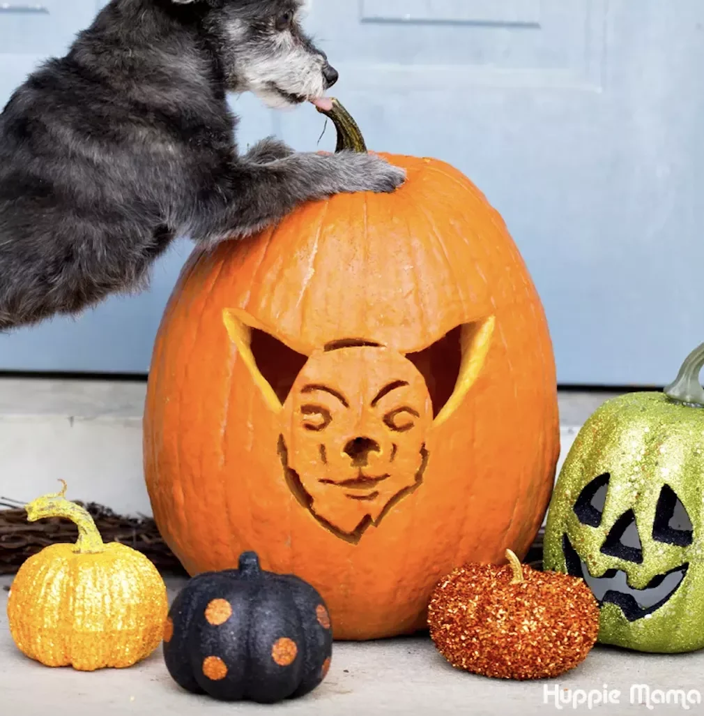 77 Creative Pumpkin Carving Ideas That'll Transform Your Fall Decorating Game 12 Dog Face Pumpkin