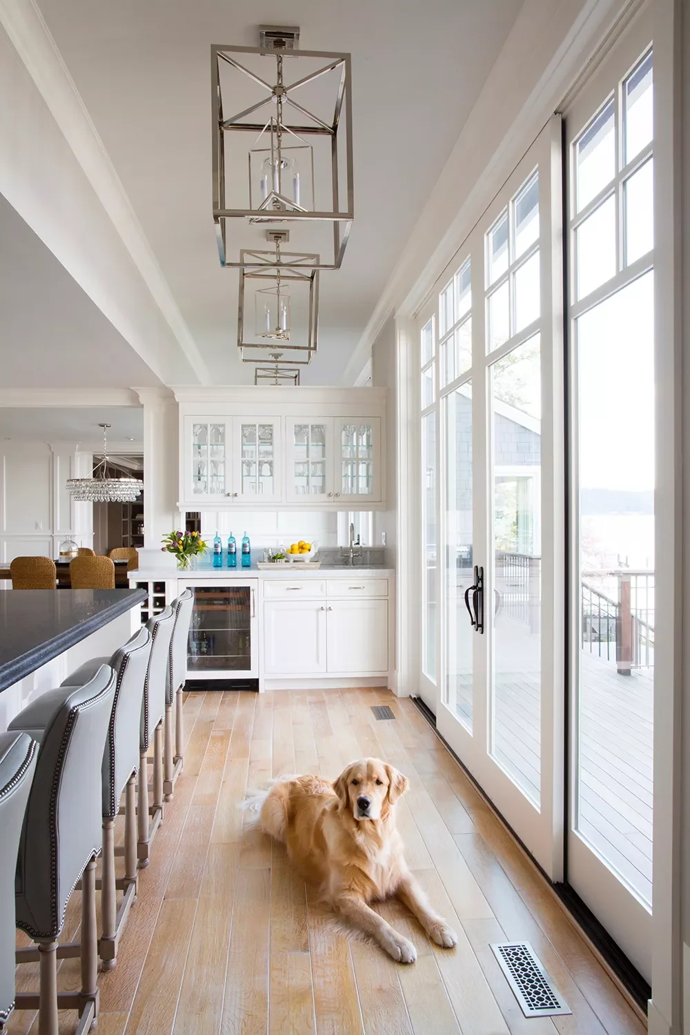 28 Incredible Dog Room Ideas That Will Make Both You and Your Furry Friend Happy 8 Dog-Friendly Flooring