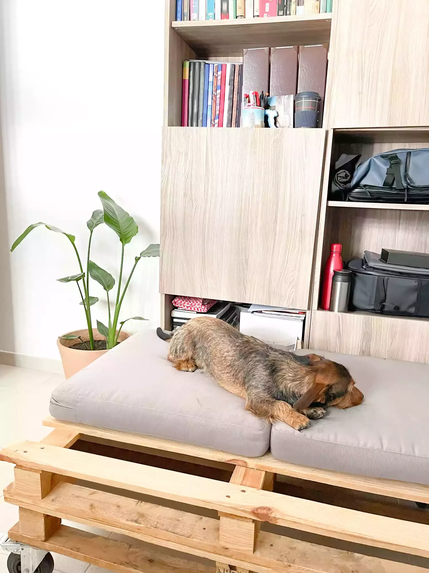 60 Creative Wood Pallet Furniture Projects That Won't Break Your Budget Doggie Day Bed