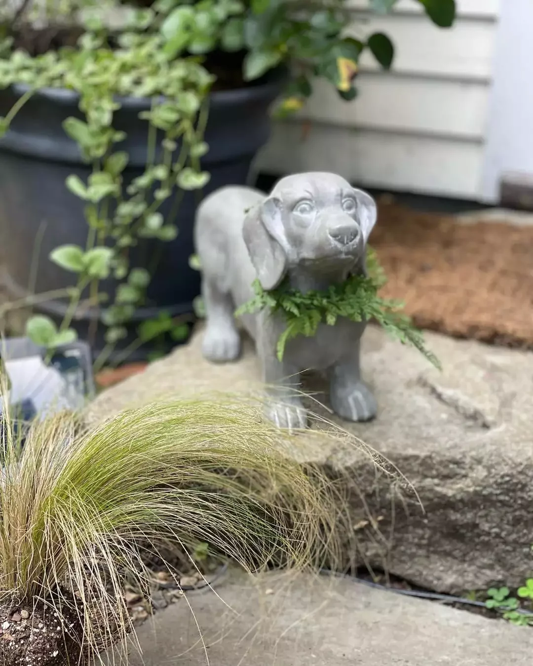 35 Enchanting Cottage Garden Ideas That Transform Your Outdoor Space Into a Magical Retreat Don
