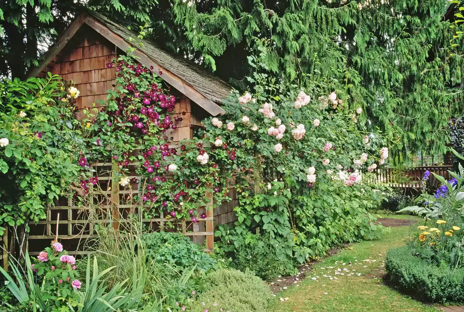 Dress up the Shed