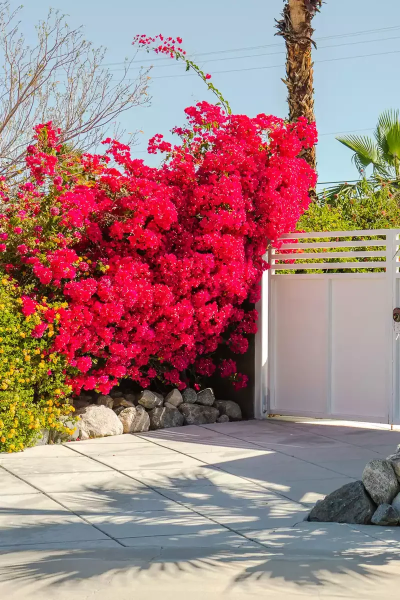 Driveway Gate Landscaping