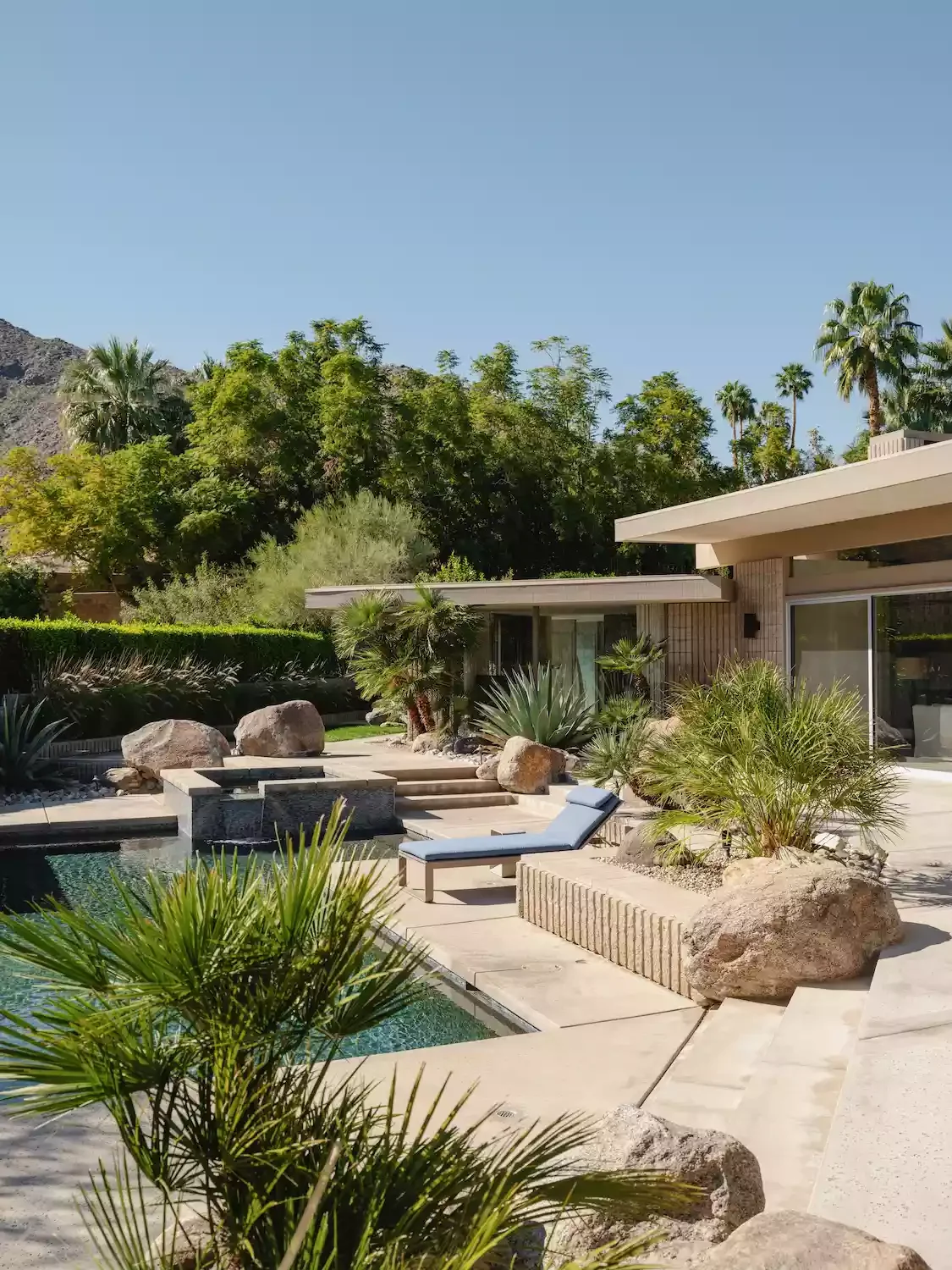 75 Stunning Backyard Pool Ideas That Will Transform Your Outdoor Space 65 Drought-Resistant Landscaping