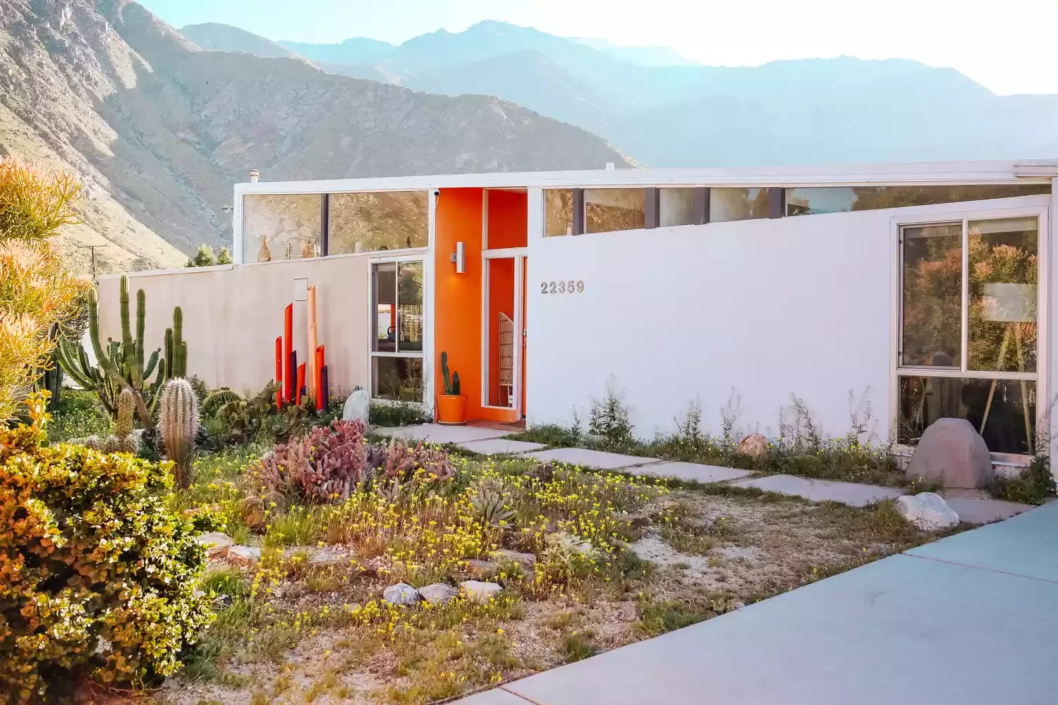 8 Beautiful Grass-Free Front Yard Ideas That Will Transform Your Outdoor Space Drought-Tolerant Plants and Perennials