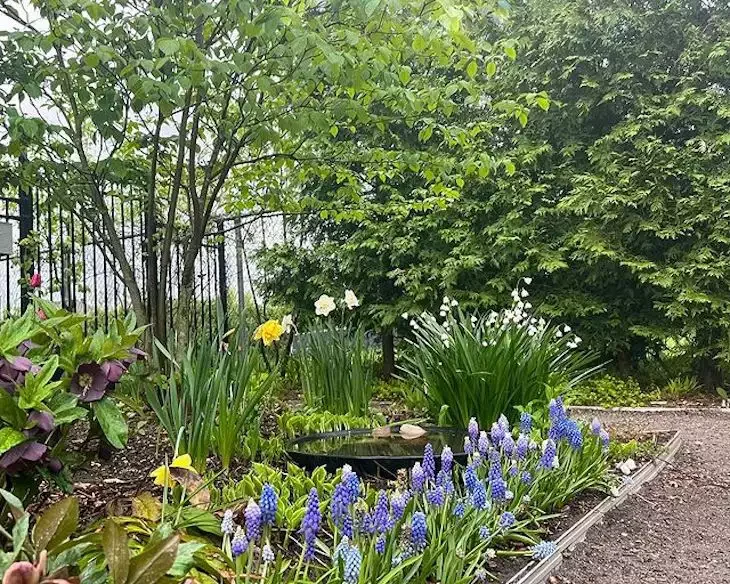 82 Stunning Front Yard Landscaping Ideas to Transform Your Home's Curb Appeal This Spring Early Spring Color