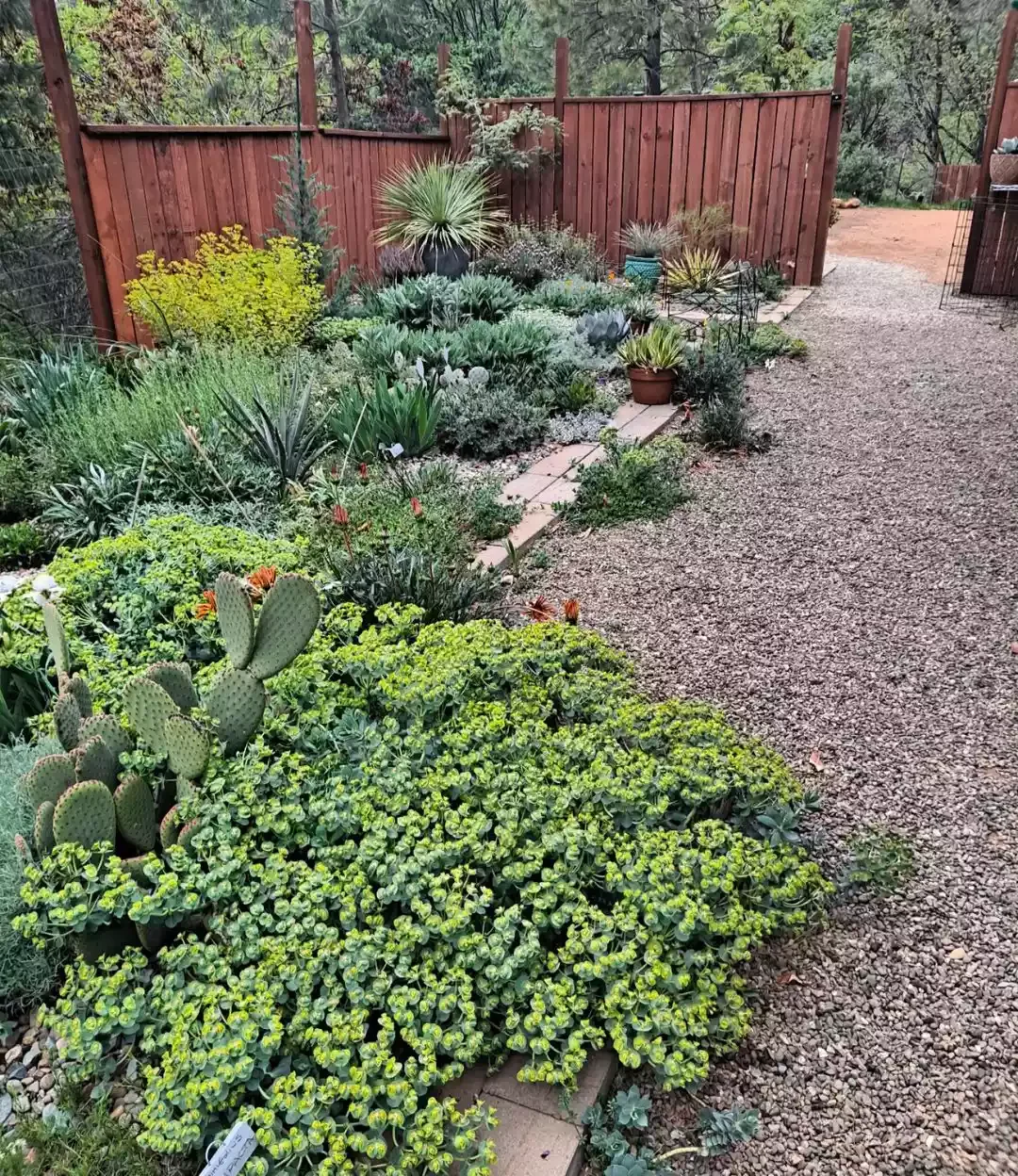 Easy Desert Borders