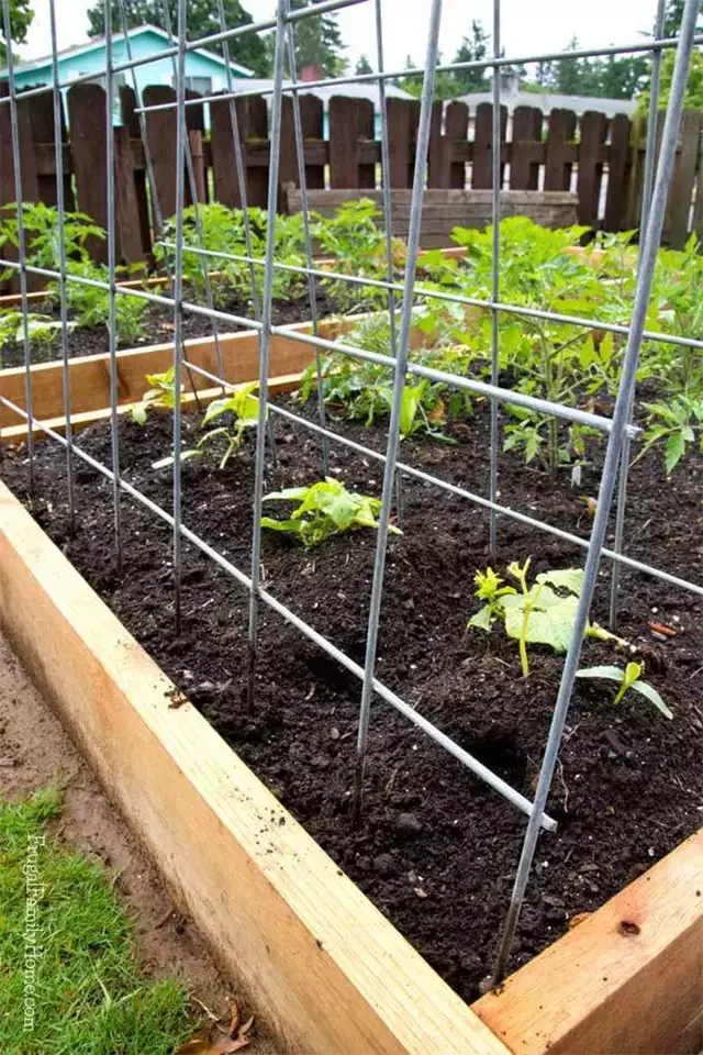 Easy Metal Cucumber Trellis