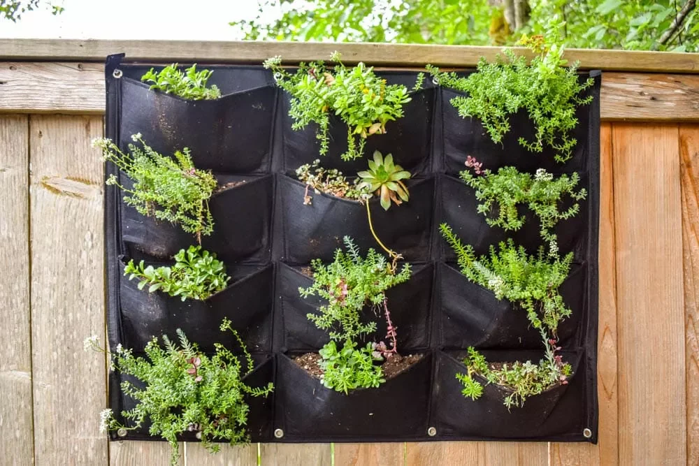 28 Creative DIY Vertical Garden Projects to Transform Your Space Easy Vertical Garden