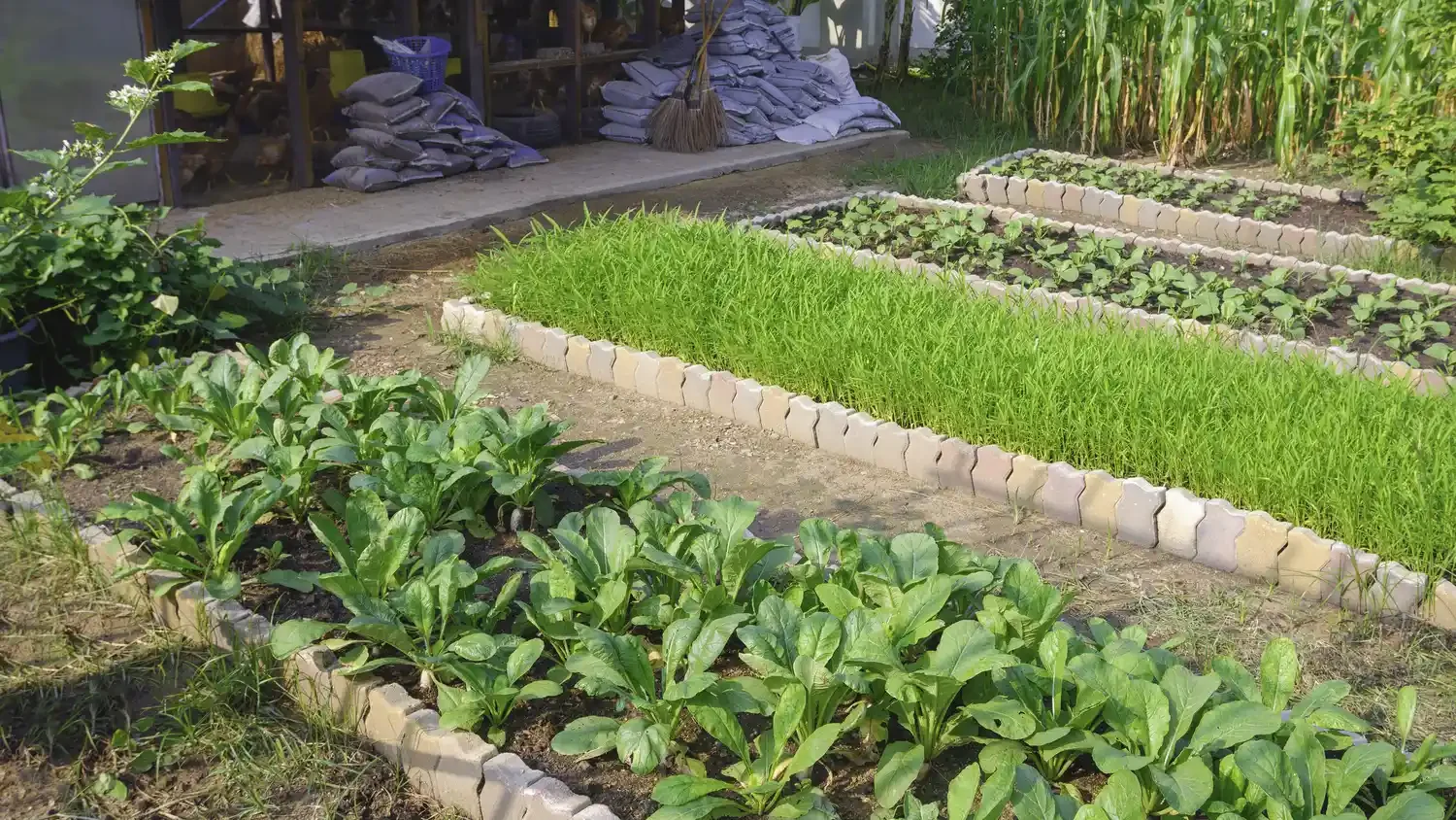 26 Vegetables Garden Ideas That Keep Your Home Stocked with Year-Round Edge Beds With Stone Pavers