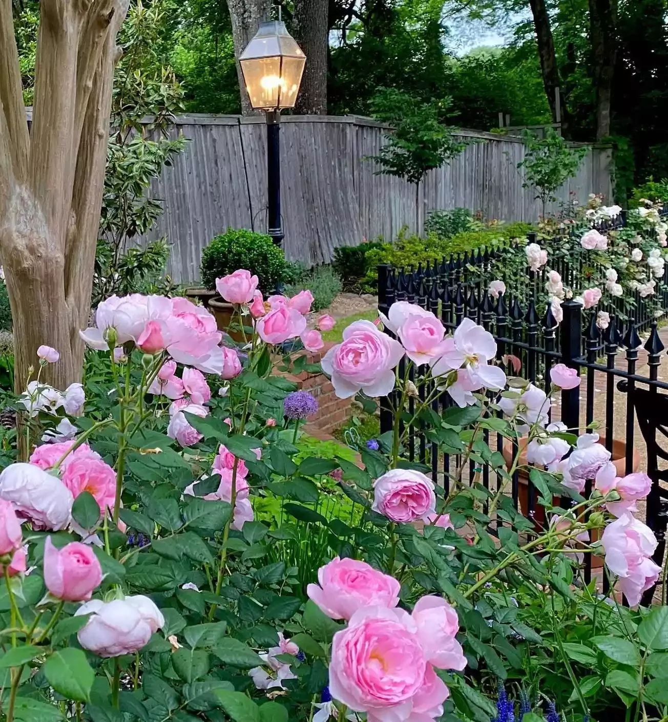 37 Stunning Flower Bed Designs That Will Transform Your Garden Embrace Pink