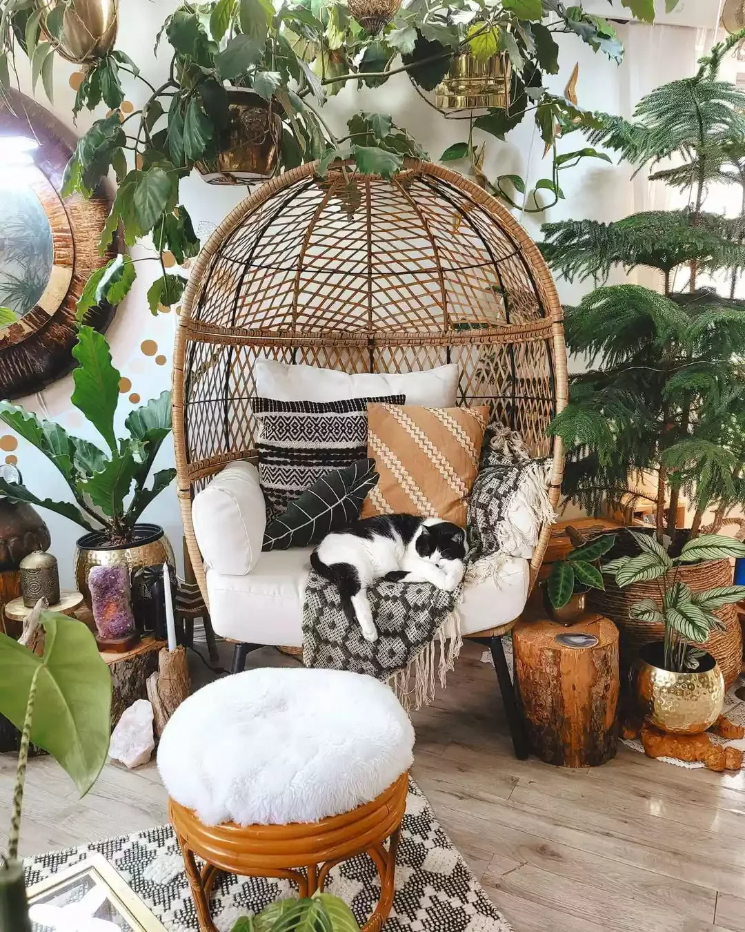 16 Beautiful Ways to Create Your Dream Indoor Garden Space Enhance a Relaxing Nook