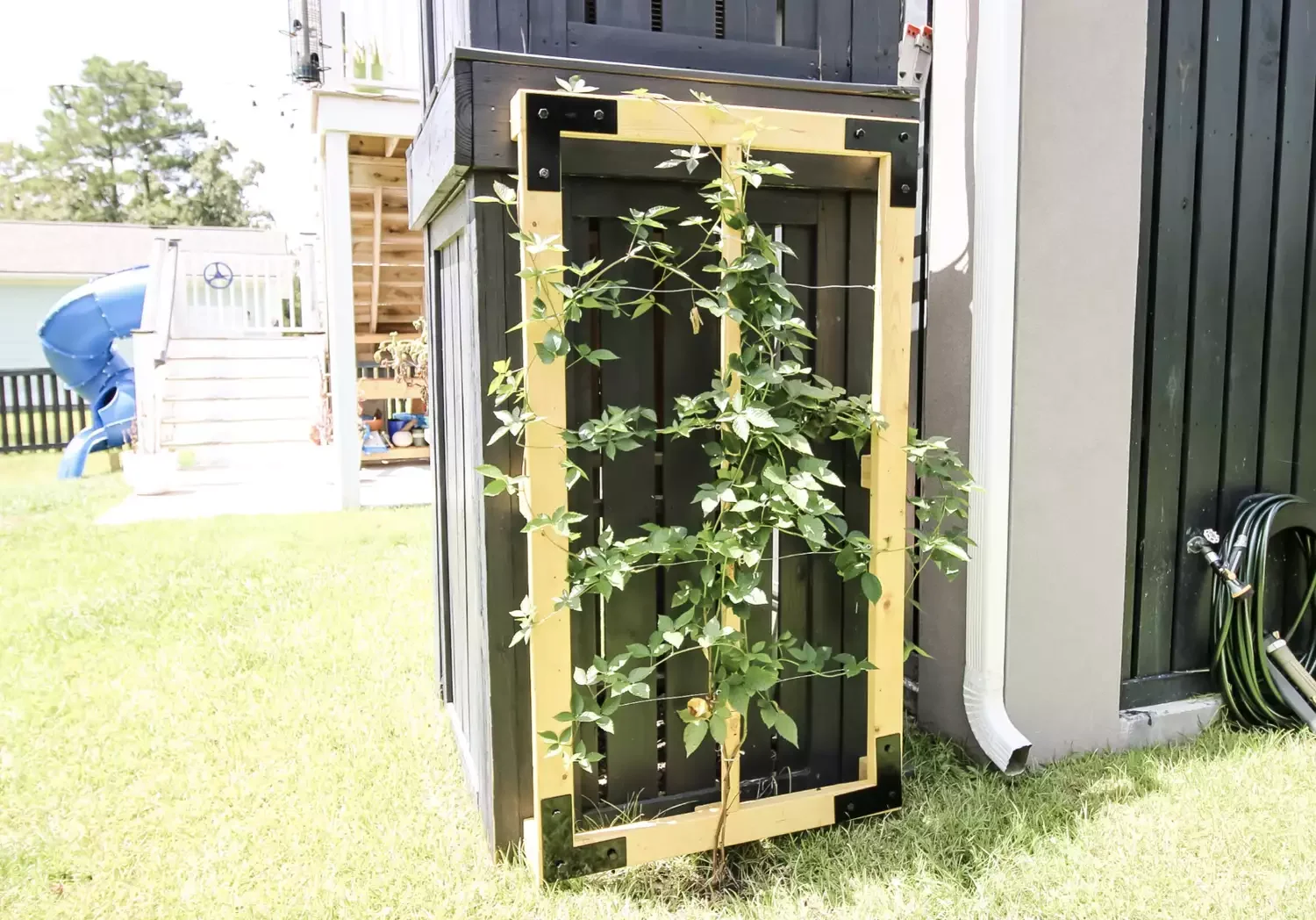 Espalier Trellis